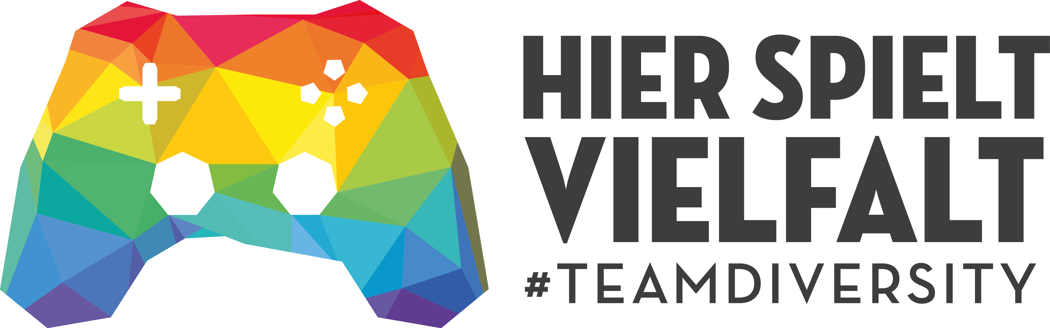 Logo of our partner Team Diversity